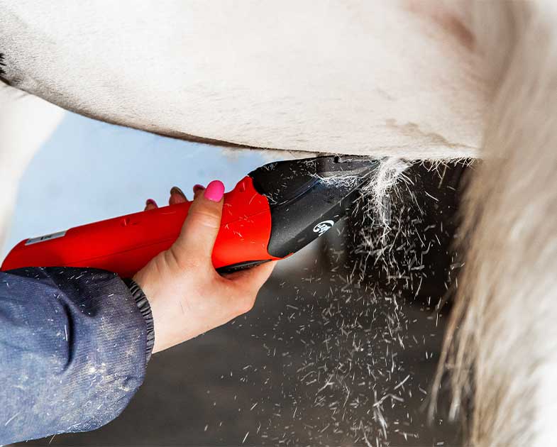 Lister Fusion Horse Clipper